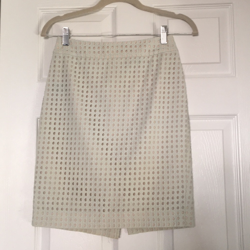 Ann Taylor skirt